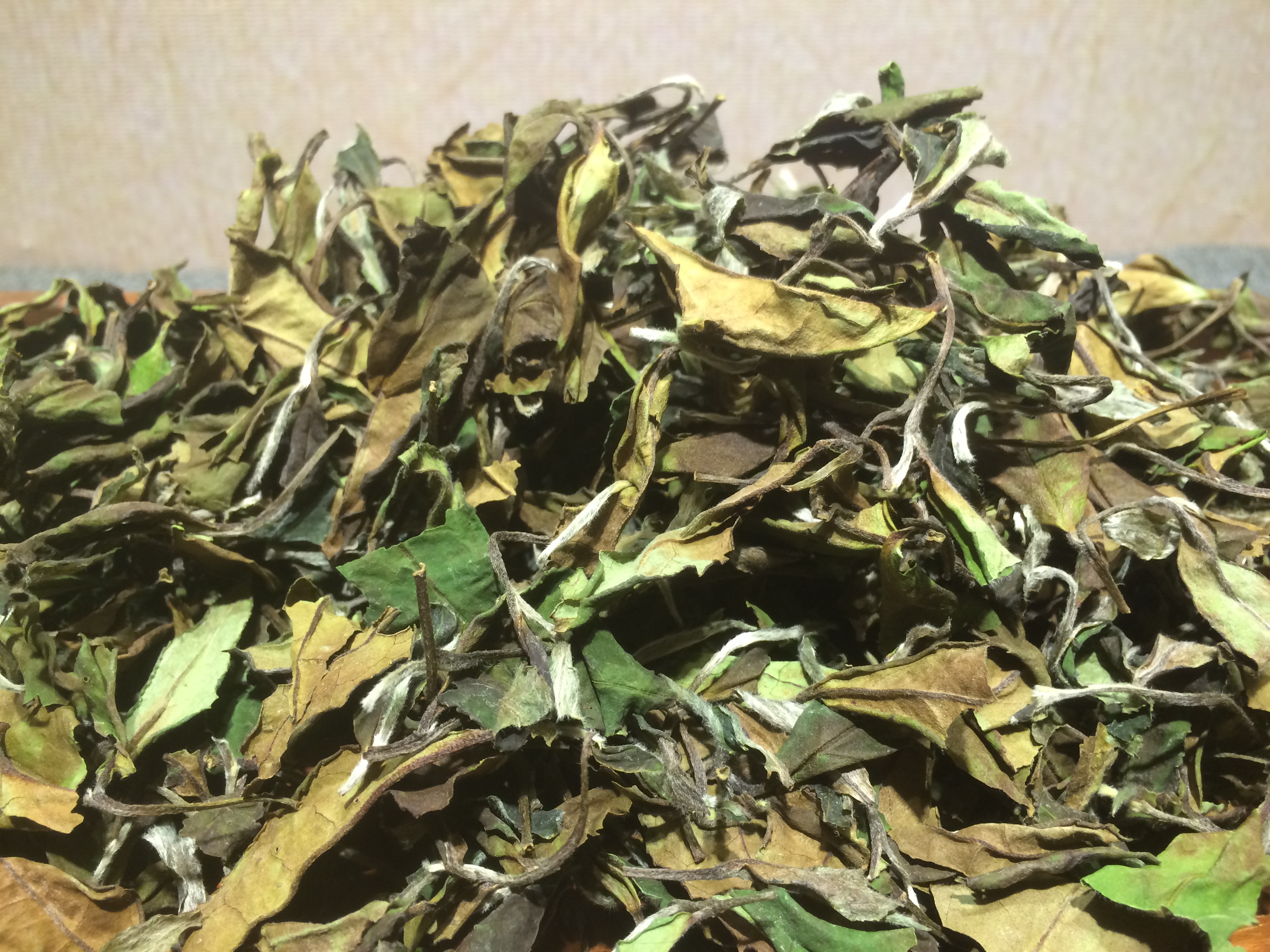 白茶的功效与作用 一种天然的保健品