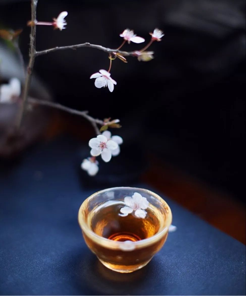 我们闻茶香闻的是什么?