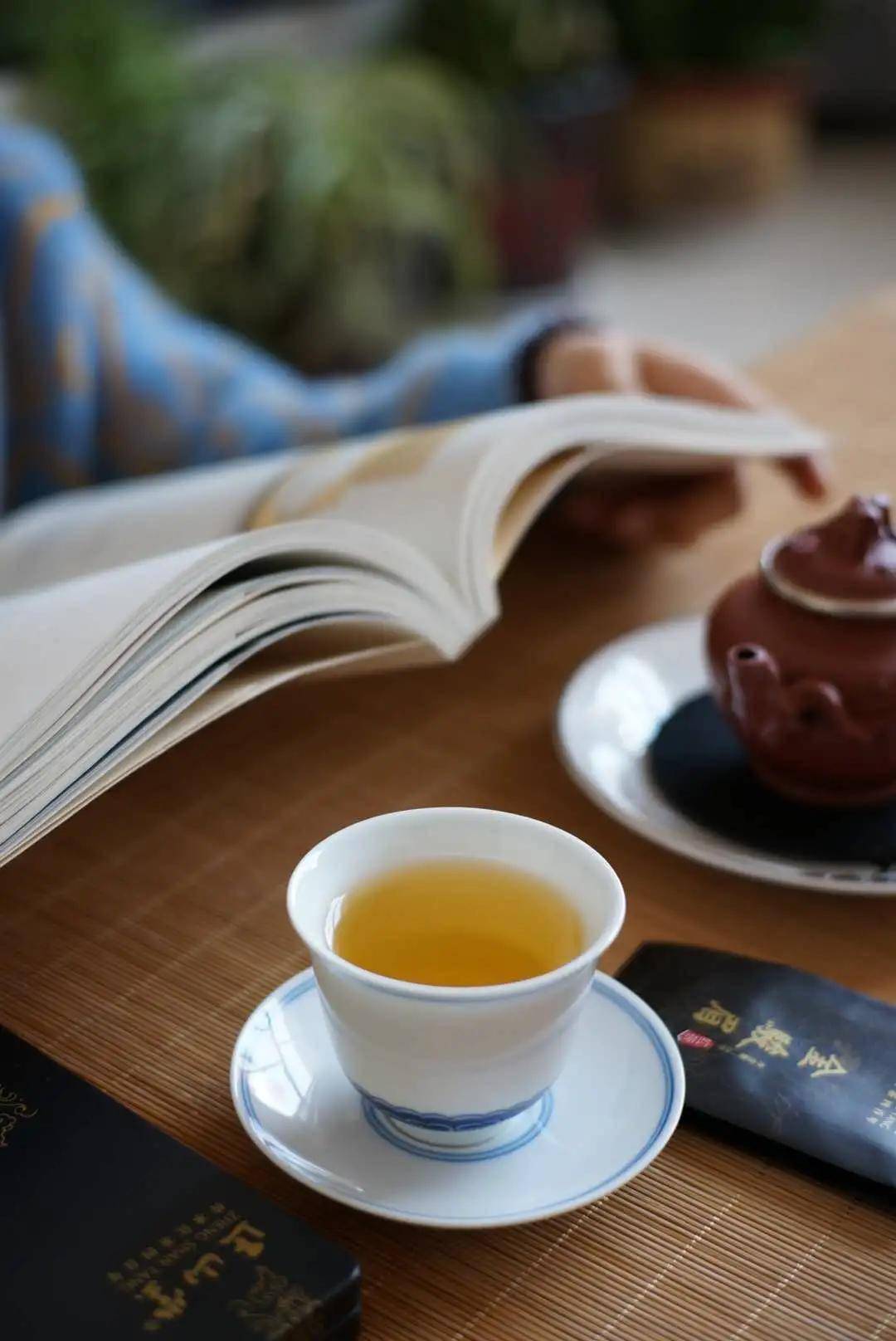 净一室，煮一茶，读一书 茶中觅得半日闲